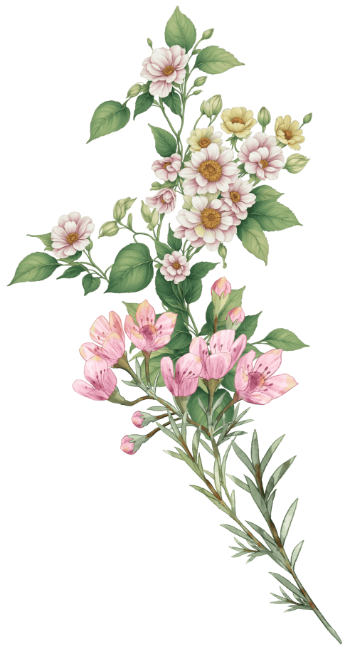 Ornament